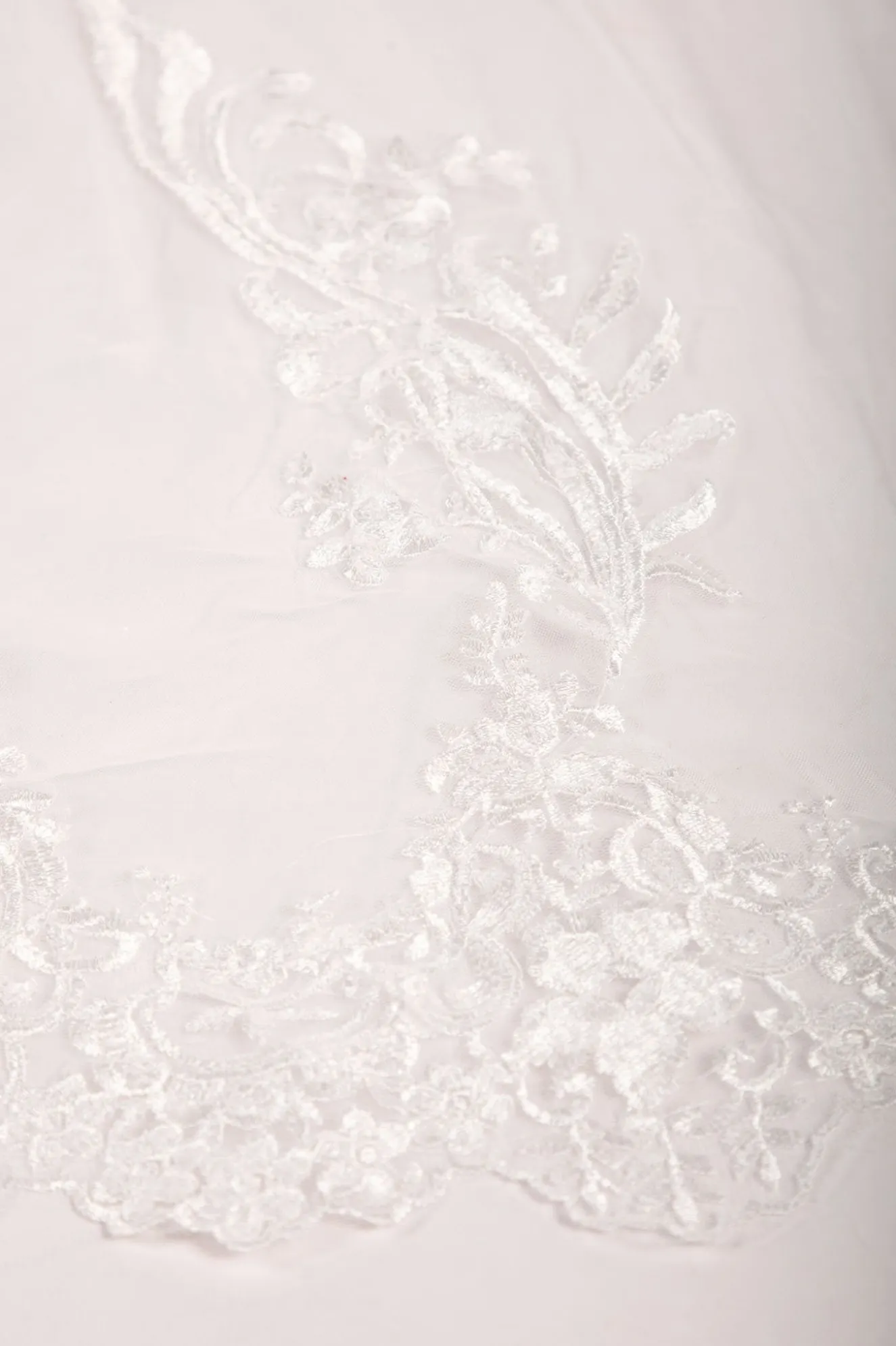 ASTER Long Wedding Veil with Lace Appliques