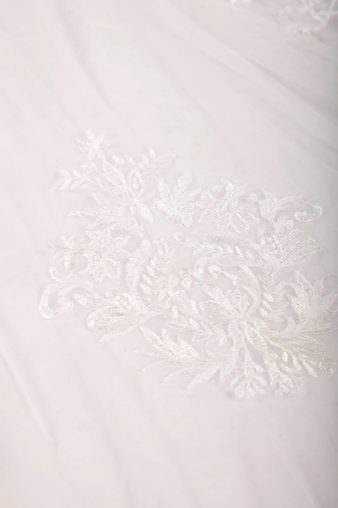 ASTER Long Wedding Veil with Lace Appliques